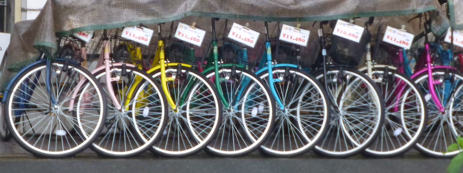 Generic datastructure traversals with roles and introspection