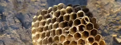 Roles as Algebraic Data Types in Raku