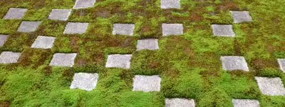 A universal interpreter